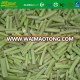 IQF frozen wasabi ginger leaf stems