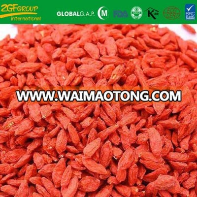 New Crop Dried Chinese Medlar