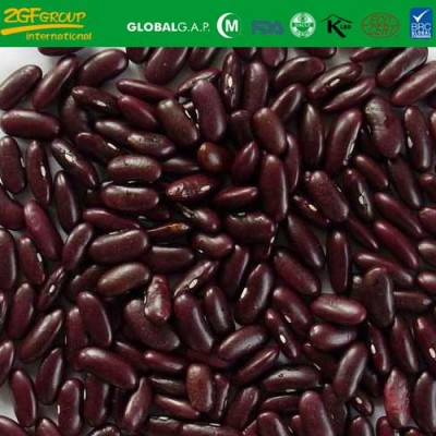 health products dark red kidney beans,dry british red