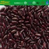 health products dark red kidney beans,dry british red