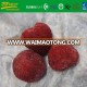 good taste quick IQF whole strawberry AM 13 fruit carton packing brc