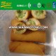 fried spring roll