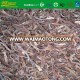 IQF frozen black fungus strips