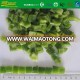 IQF freeze exporter of diced 10mm green pepper carton packing brc