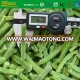 IQF freeze exporter of strips 2-4mm green pepper carton packing brc