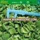 IQF freeze exporter of diced 30mm green pepper carton packing brc