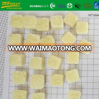 BQF garlic puree tablet 5g