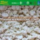 deep frozen white cauliflower 40-60mm carton bulk packing