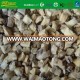 IQF frozen diced white button mushrooms
