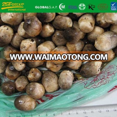 unpeeled whole straw mushroom in brine halal food