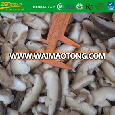 deep quick freeze iqf shiitake BRC KOSHER ISO supplier