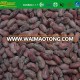 IQF high quality red kidney beans whole sale 2017 carton packing