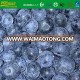 organic blueberries prices/blueberry blueberries/frozen blueberries price 2017