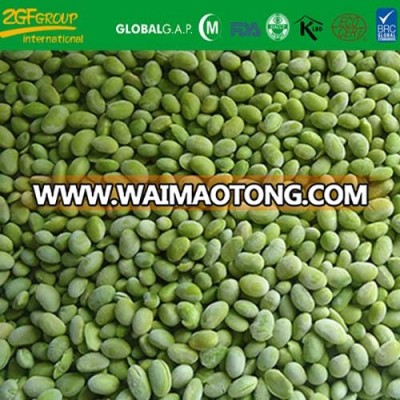 IQF frozen organic soybean kernels