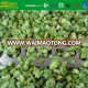 IQF diced green asparagus 6mm