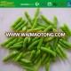 High Quality IQF price of green bean bias cut