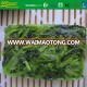 BQF seasoned japanese greens komatsuna vegetables foods