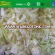 chinese fresh cabbage supplier/vegetable exporter in China