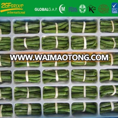 IQF asparagus beans bundle