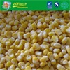 New Crop IQF sweet corn kernel