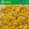 IQF sweet corn kernel