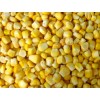IQF sweet corn kernel