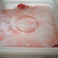 Frozen whole strawberries 4+1 AM13,DIA:25-35mm